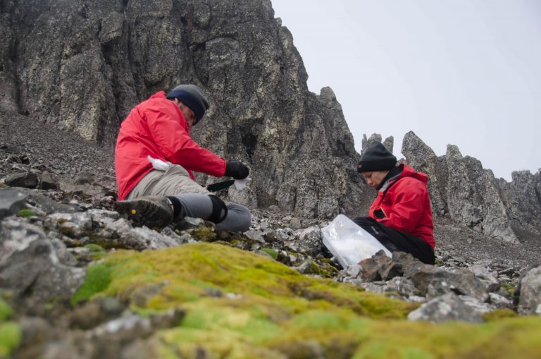 Estudiarán microorganismos y contaminantes de acción humana que llegan hasta la Antártica