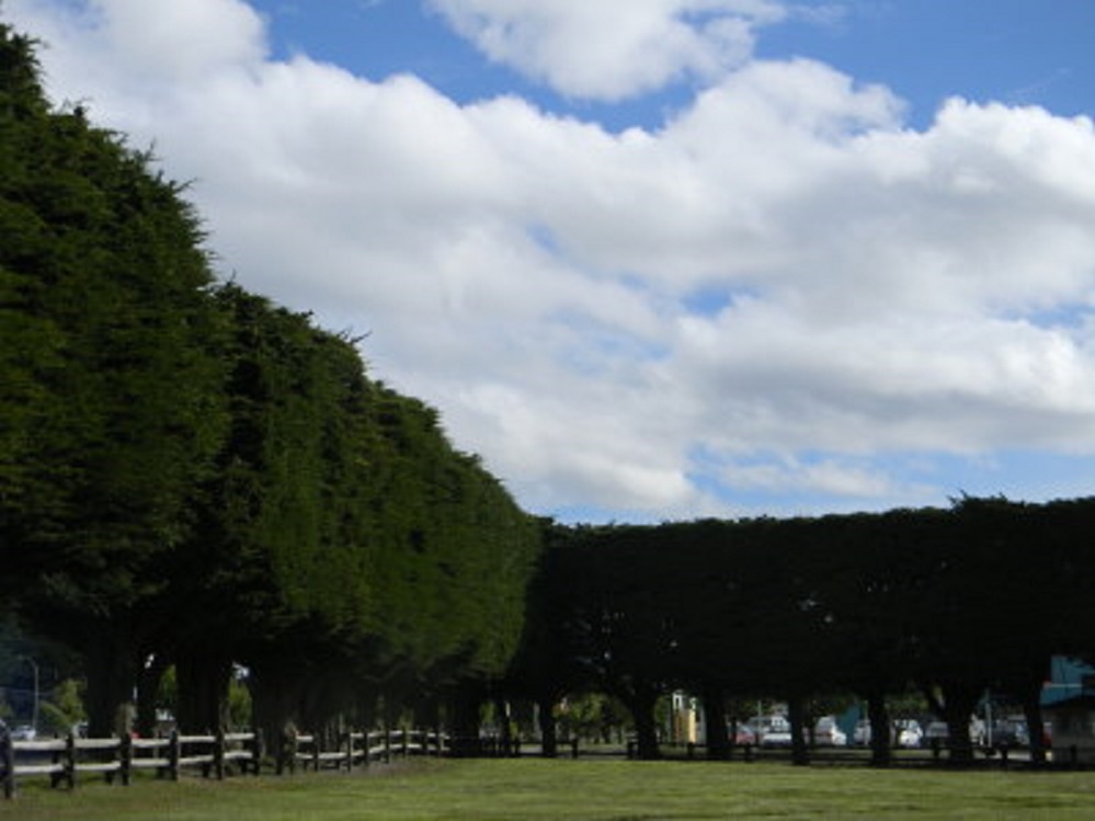 Municipio pone en marcha plan para renovar Parque Don Bosco de Punta Arenas