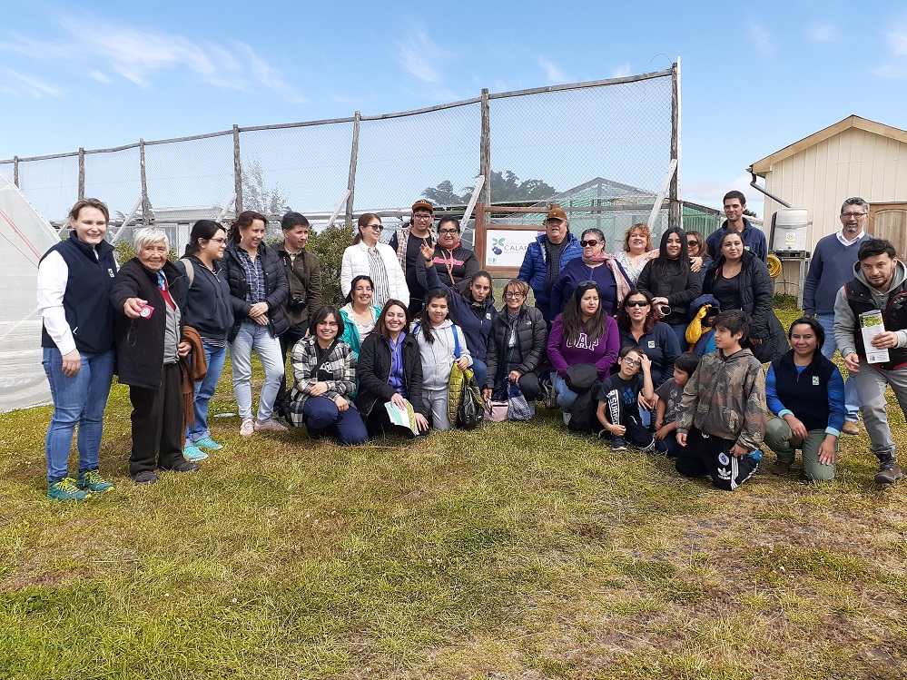 Agricultores y habitantes de San Gregorio asistieron a Día de Campo Hortofrutícola en INIA Kampenaike