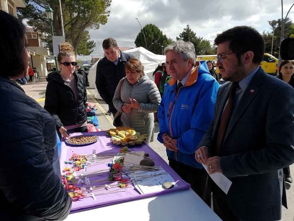 «Feria de Verano» se realizó exitosamente en Puerto Natales por diferentes servicios públicos
