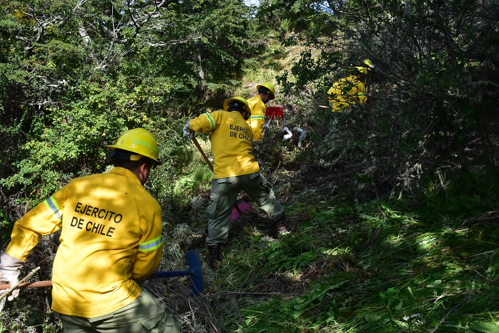 Personal de la IV Brigada Acorazada «Chorrillos» del Ejército realiza actividades de silvicultura preventiva en el parque Chabunco de Punta Arenas