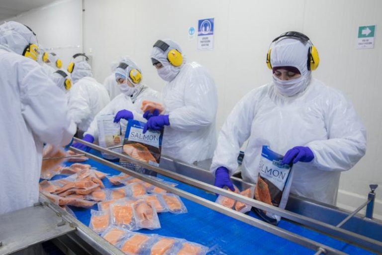 Salmonicultores de Magallanes señalan que crisis social no ha afectado la exportación de salmones