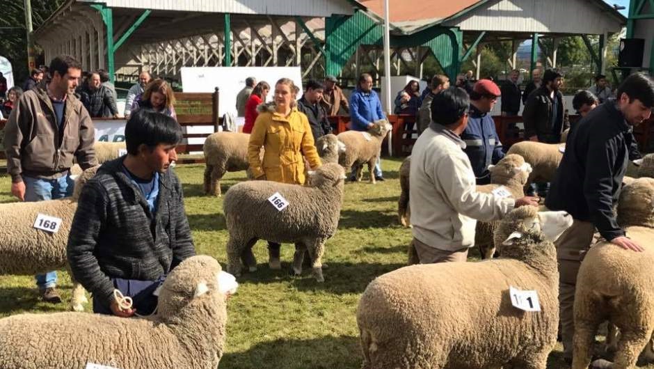 Presencia de horticultores regionales y una muestra de esquila rápida internacional en la 68° Expogama 2020