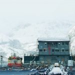 Empresa salmonera Nova Austral publica su balance financiero del año 2019: ganancias se redujeron en un 46%