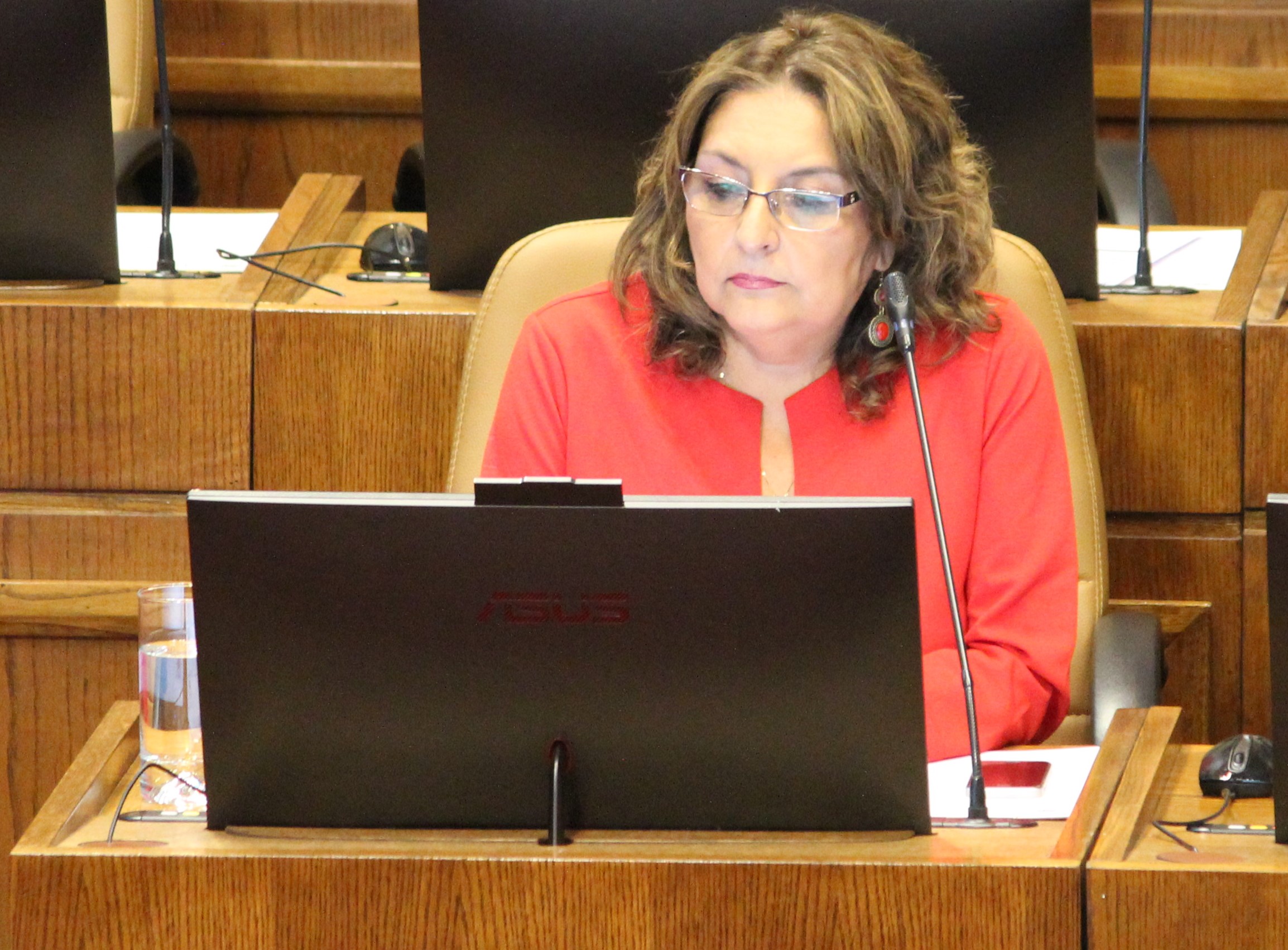 Diputada Sandra Amar  “condena y repudia los actos de violencia ocurridos la noche de este viernes en nuestra ciudad”