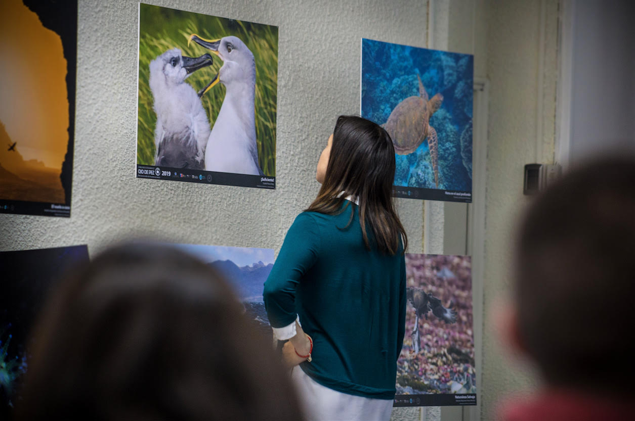 Exposición fotográfica “Ojo de Pez” se inaugura en Punta Arenas el próximo martes 3 de marzo