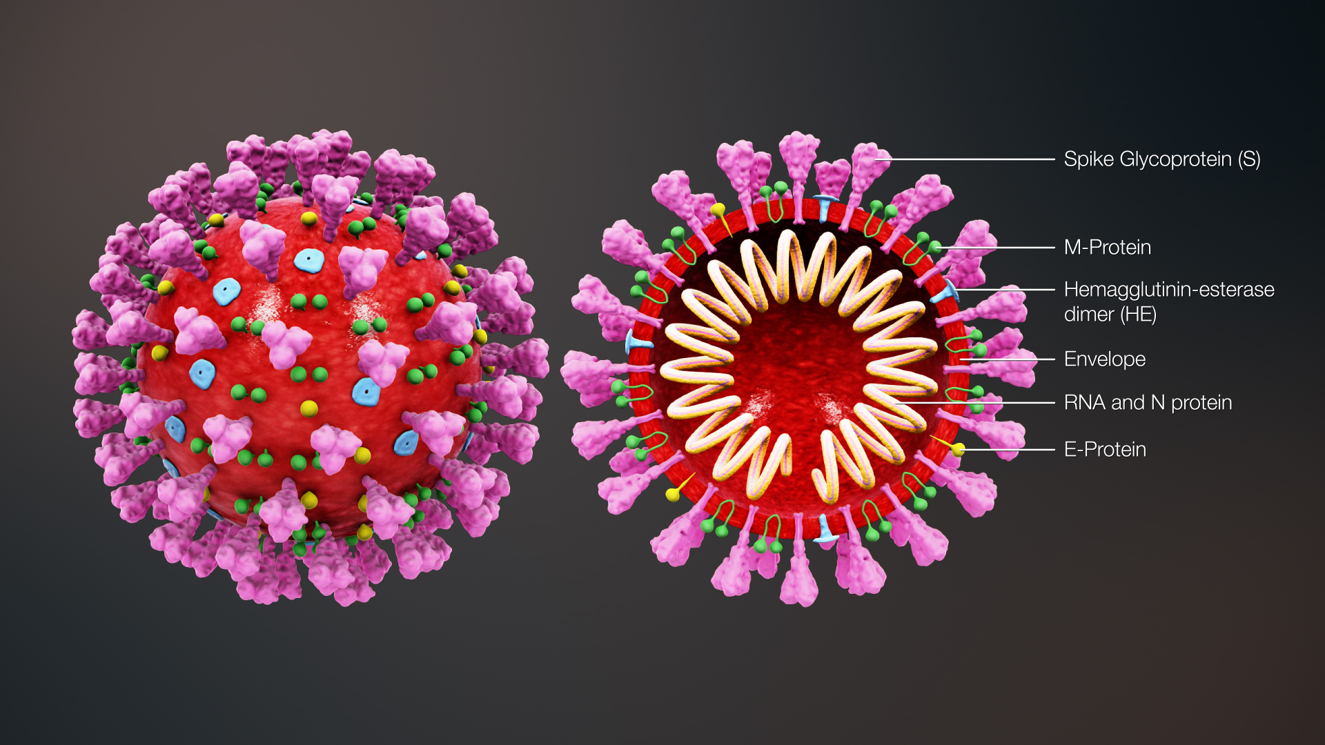 6 casos de coronavirus presenta la región de Magallanes al día de hoy sábado 21 de marzo