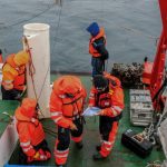 Rescatan instrumento oceanográfico que estuvo sumergido un año en aguas de la Antártica