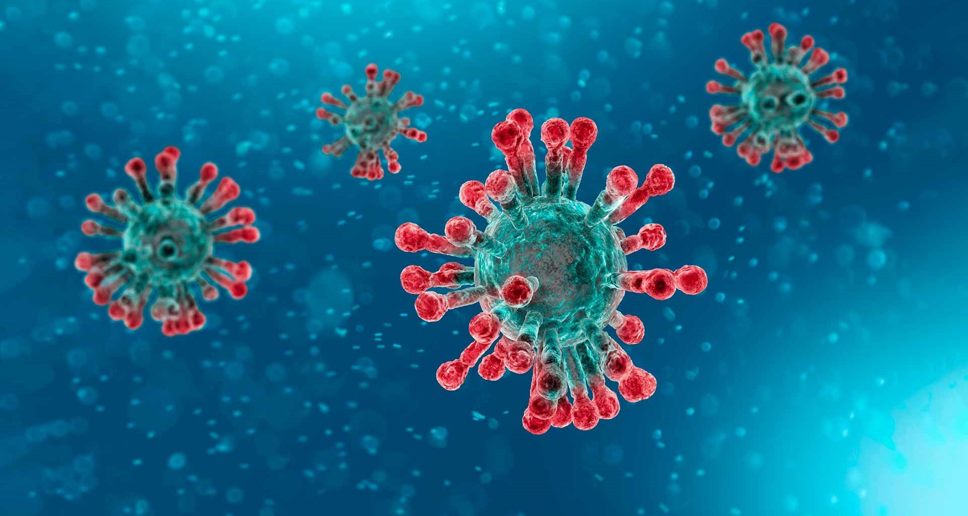 Coronavirus: nuestro resúmen noticioso del coronavirus en Magallanes y la Patagonia
