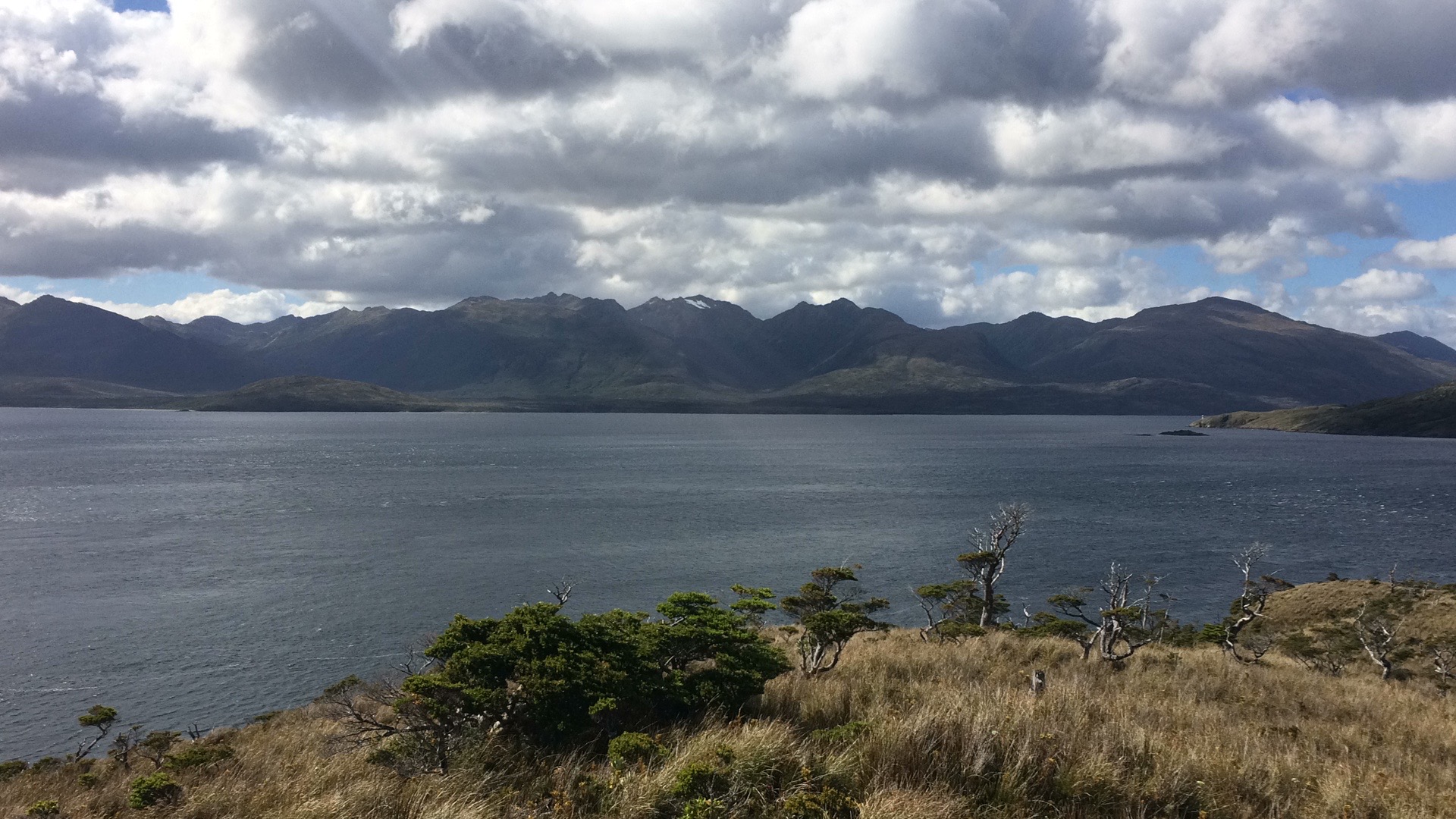 Red Liquenlab abre convocatoria para nueva Microresidencia Navegable por el Estrecho de Magallanes