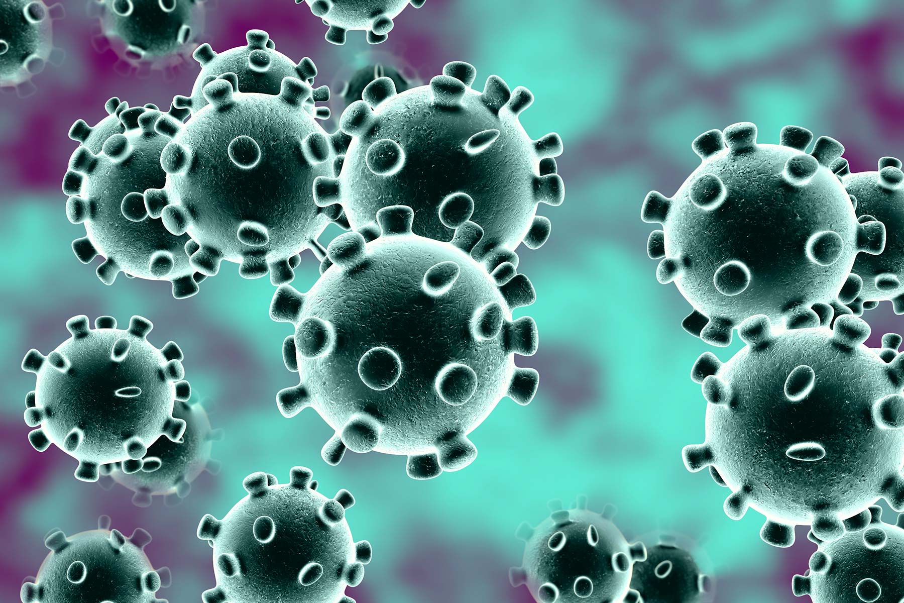 Ministerios de Salud y Educación difunden protocolo para prevención del coronavirus en establecimientos educacionales