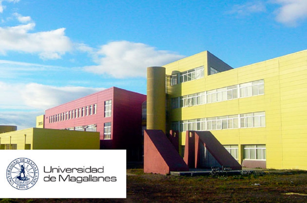 Universidad de Magallanes  aporta mirada sobre la perspectiva de género frente a pandemia COVID-19
