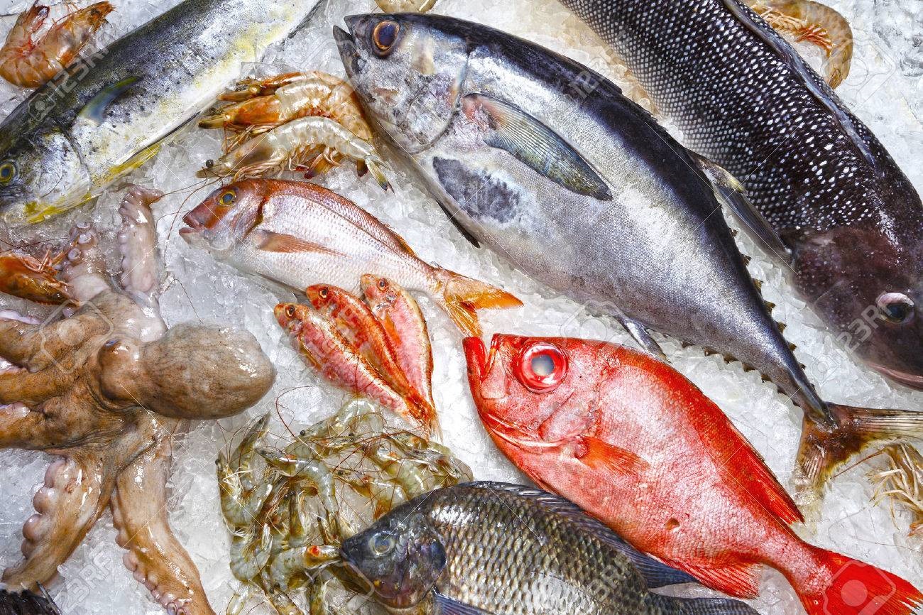 Difunden listado de pescaderías y locales de venta de productos de mar en Magallanes