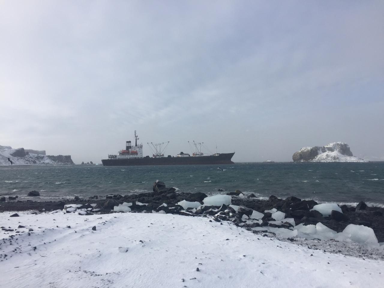 Maniobra de desvaramiento de buque frigorífico en Bahía Fildes no se ha realizado a la espera de condiciones climáticas favorables