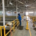 Ante falsos mensajes difundidos en redes sociales: Aguas Magallanes desmintió suspensión de suministro de agua potable y supuesta presencia de roedores