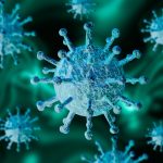 Solo la ciencia puede dar una respuesta exacta sobre el origen del nuevo coronavirus – Liu Hai Ying – Science and Technology Daily