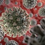 Investigadores de 4 universidades desarrollan proyecto: analizan información genética del virus SARS-CoV-2 según tiempo y lugar con muestras de todo Chile