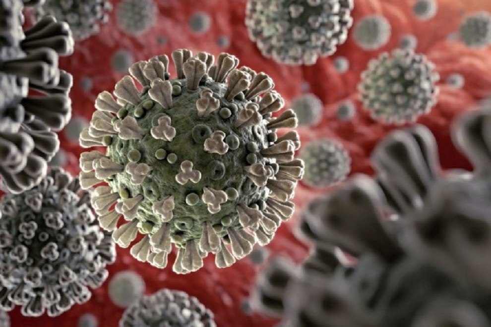 Investigadores de 4 universidades desarrollan proyecto: analizan información genética del virus SARS-CoV-2 según tiempo y lugar con muestras de todo Chile