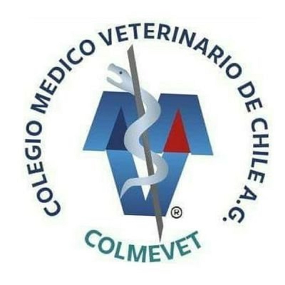 Colegio Médico Veterinario llama a la cautela ante artículo científico relativo a coronavirus e infección de mascotas