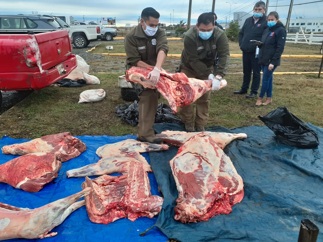 Un detenido por presunto delito de abigeato en el km. 15 sector Río Seco: portaba alrededor de 100 kilos de carne de vacuno faenado