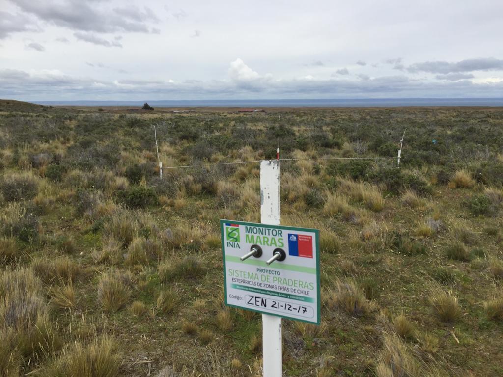 Para medir los efectos del cambio climático:  INIA Kampenaike de Magallanes lidera evaluación de pastizales y praderas naturales de uso ganadero a nivel nacional