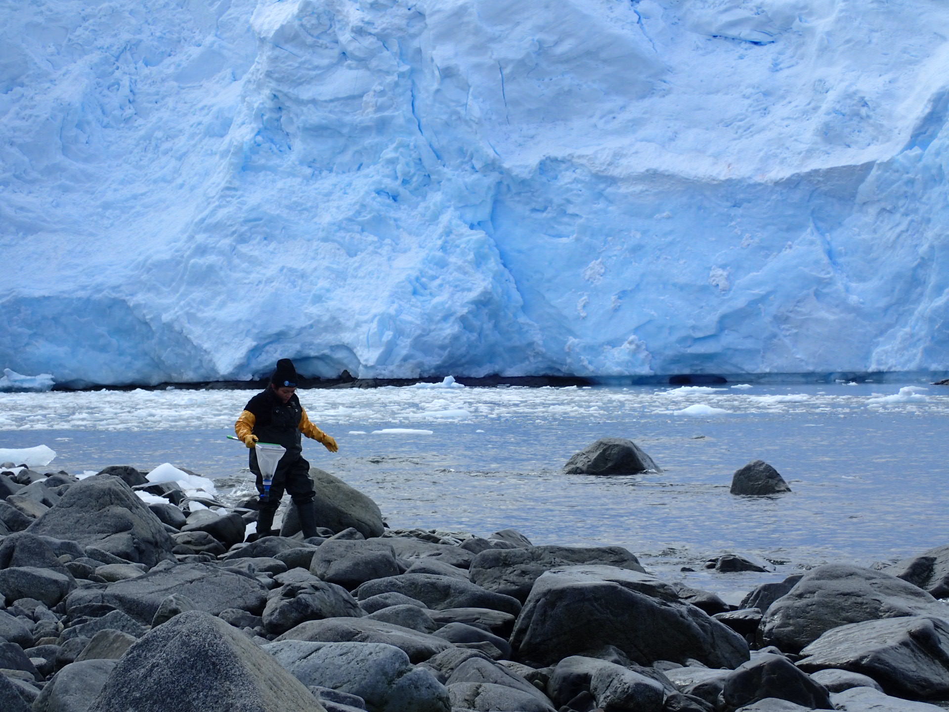 En junio desde Magallanes: continúa exitoso ciclo de charlas “Antártica Bajo Cero”