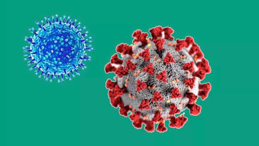 Según nuevo informe epidemiológico del MINSAL, Magallanes registra 48 fallecidos por COVID19 hasta hoy