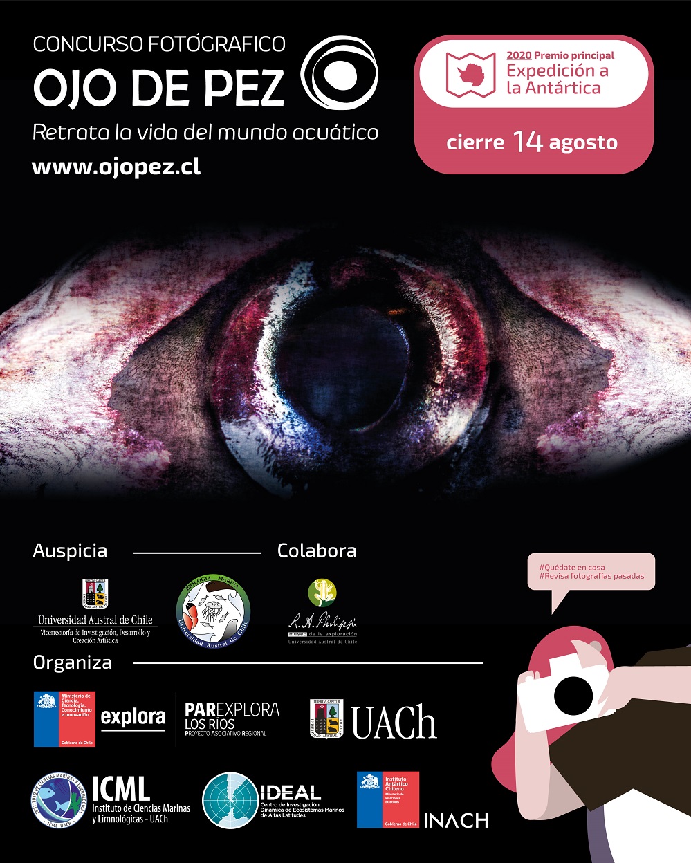 Concurso fotográfico «Ojo de Pez» busca las mejores imágenes de los ecosistemas acuáticos de Chile