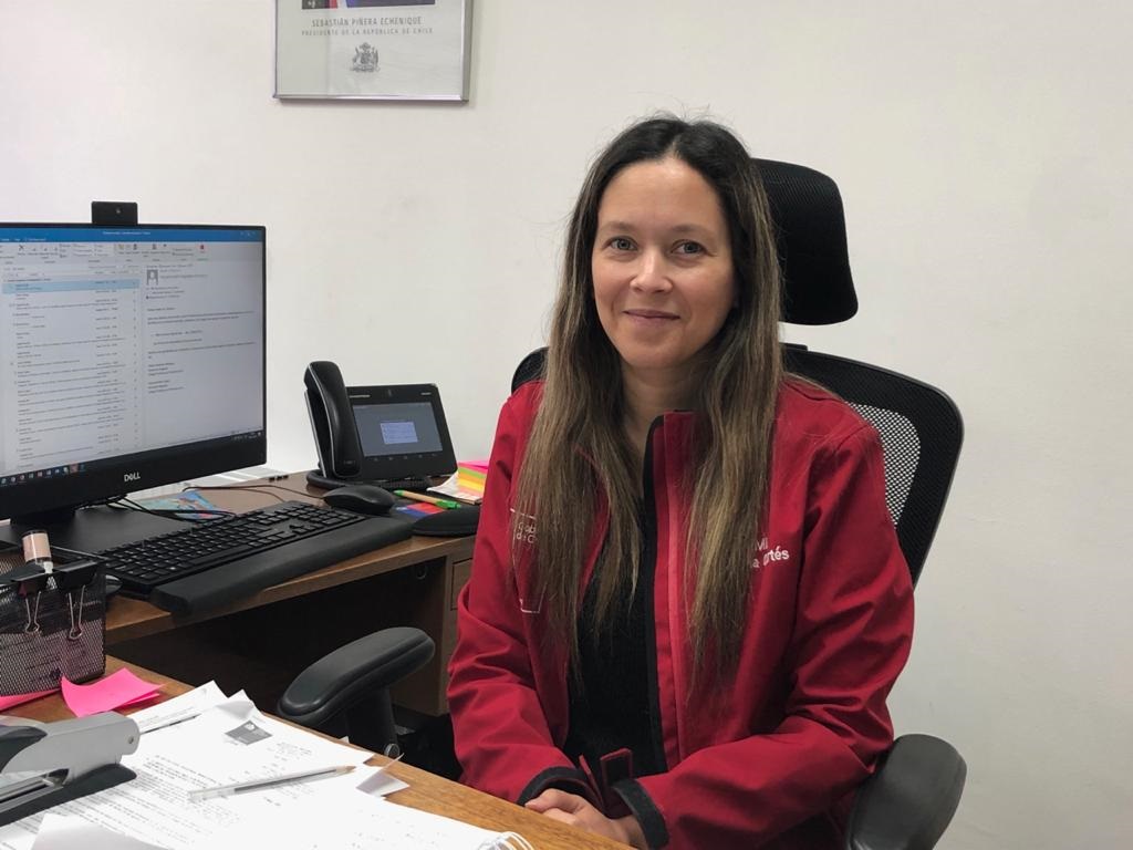 Promulgada a inicios de junio: Seremi del Trabajonde Magallanes aporta claves sobre la ley corta de protección al empleo