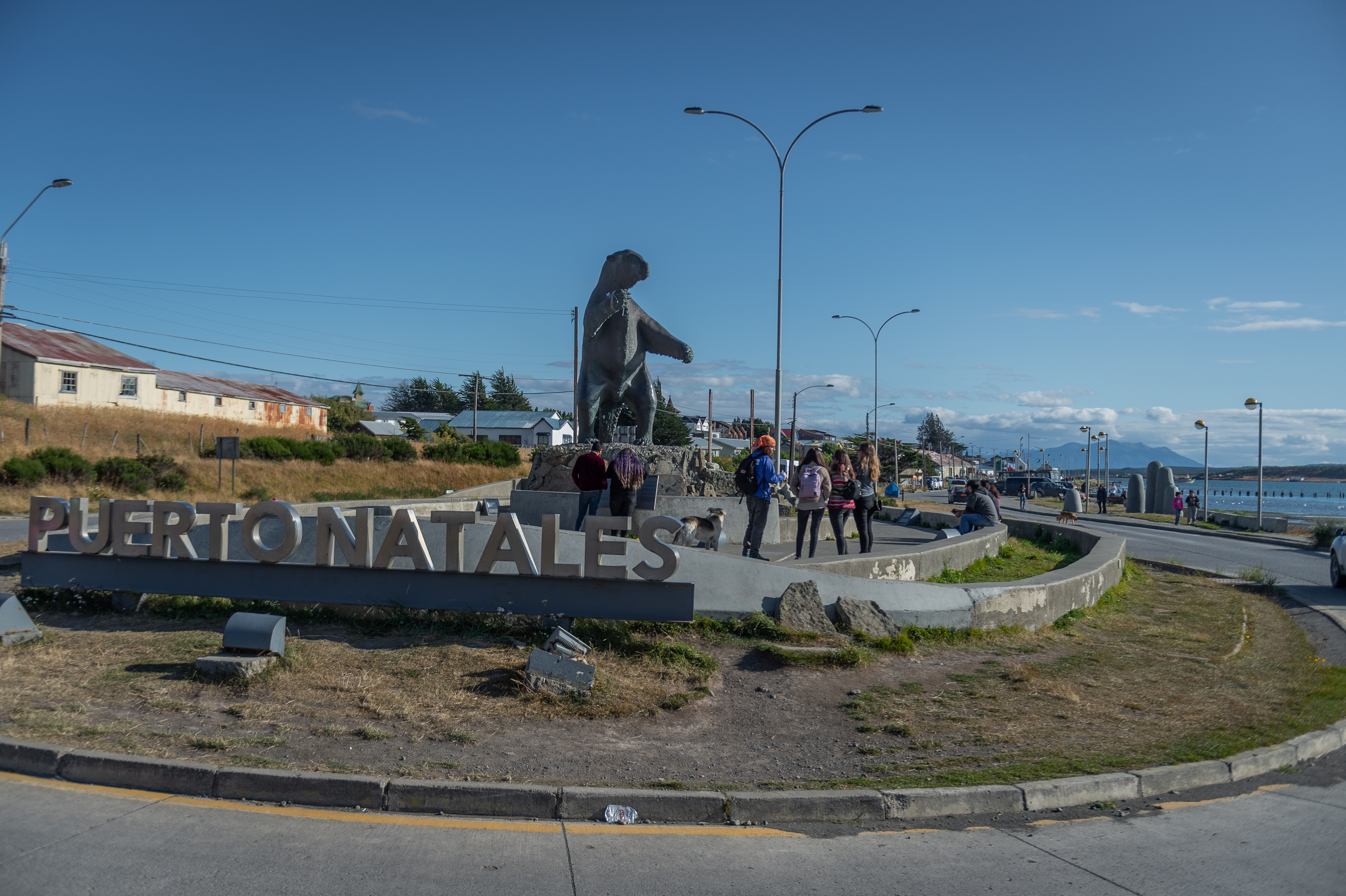 Preocupa en Puerto Natales la seguridad vial en ruta 9 que conecta con Puerto Bories