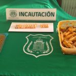 Gendarmería incauta 170 comprimidos de sustancia ilícita que se intentaron ingresar al Centro Penitenciario de Punta Arenas