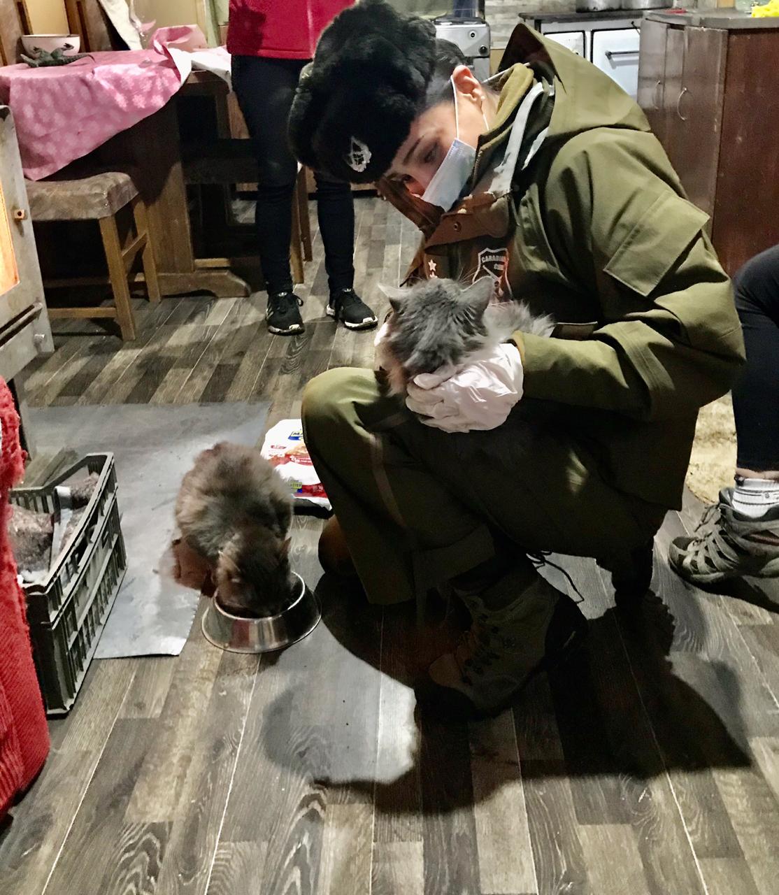 Carabineros apoya a mascotas y familias en Punta Arenas