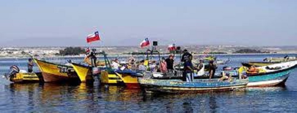 CONDEPP se refiere a recientes manifestaciones de pescadores artesanales