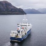 Científicos hallan toxinas que no habían sido registradas en el mar de la Patagonia chilena