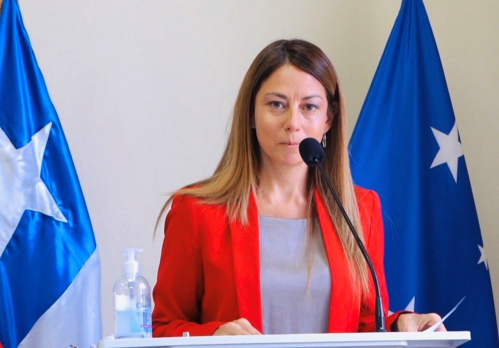 Seremi de Hacienda de Magallanes destaca que se encuentra disponible apoyo a trabajadores independientes con boletas de honorarios a través de la página del SII.cl