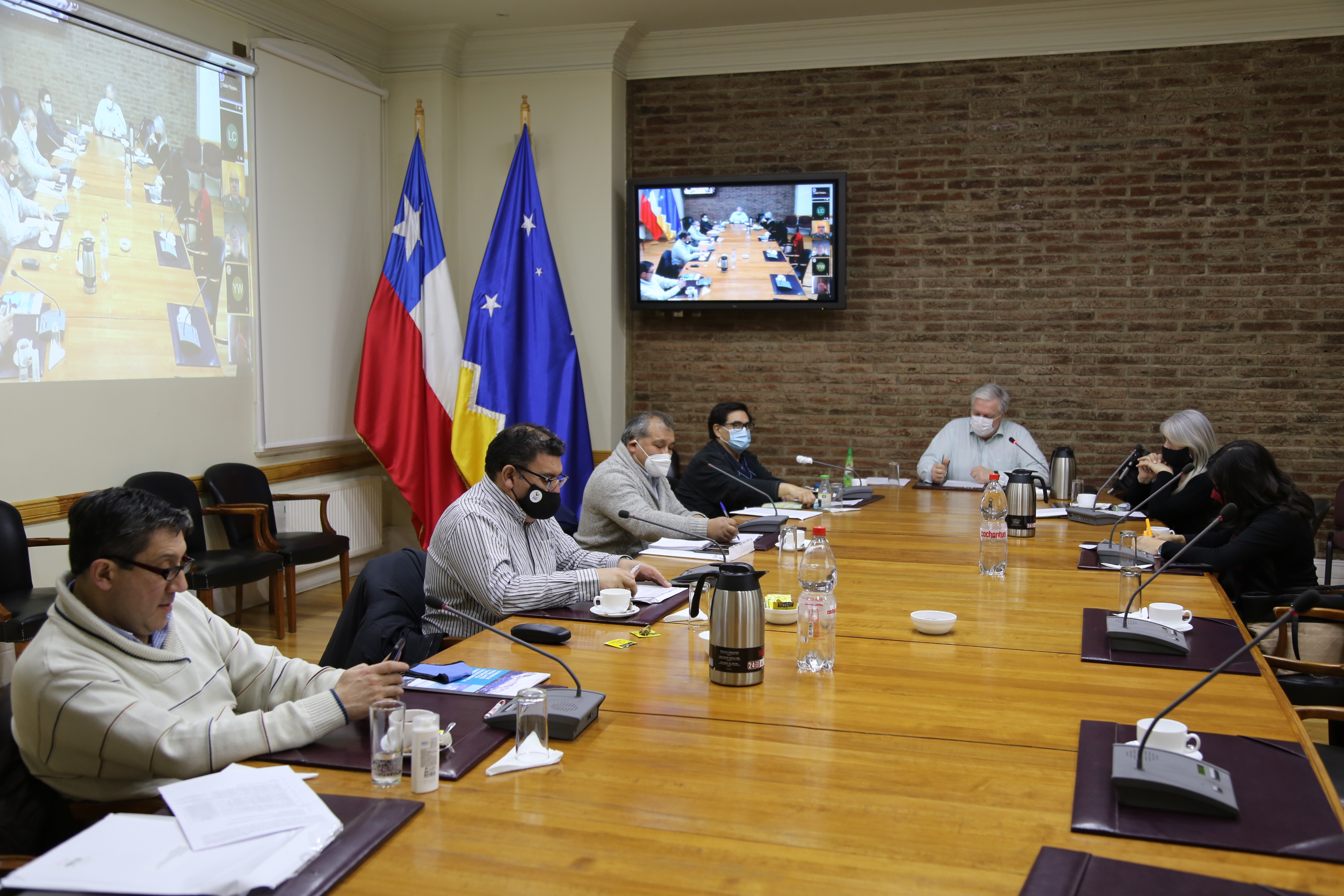 Consejo Regional oficiará a seremi de Energía requiriendo información respecto a Política Energética para comunas rurales y localidades aisladas en Magallanes