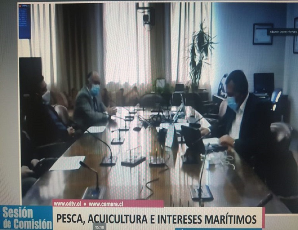 Fue despachado de la Cámara de Diputados proyecto que va en ayuda de pescadores artesanales