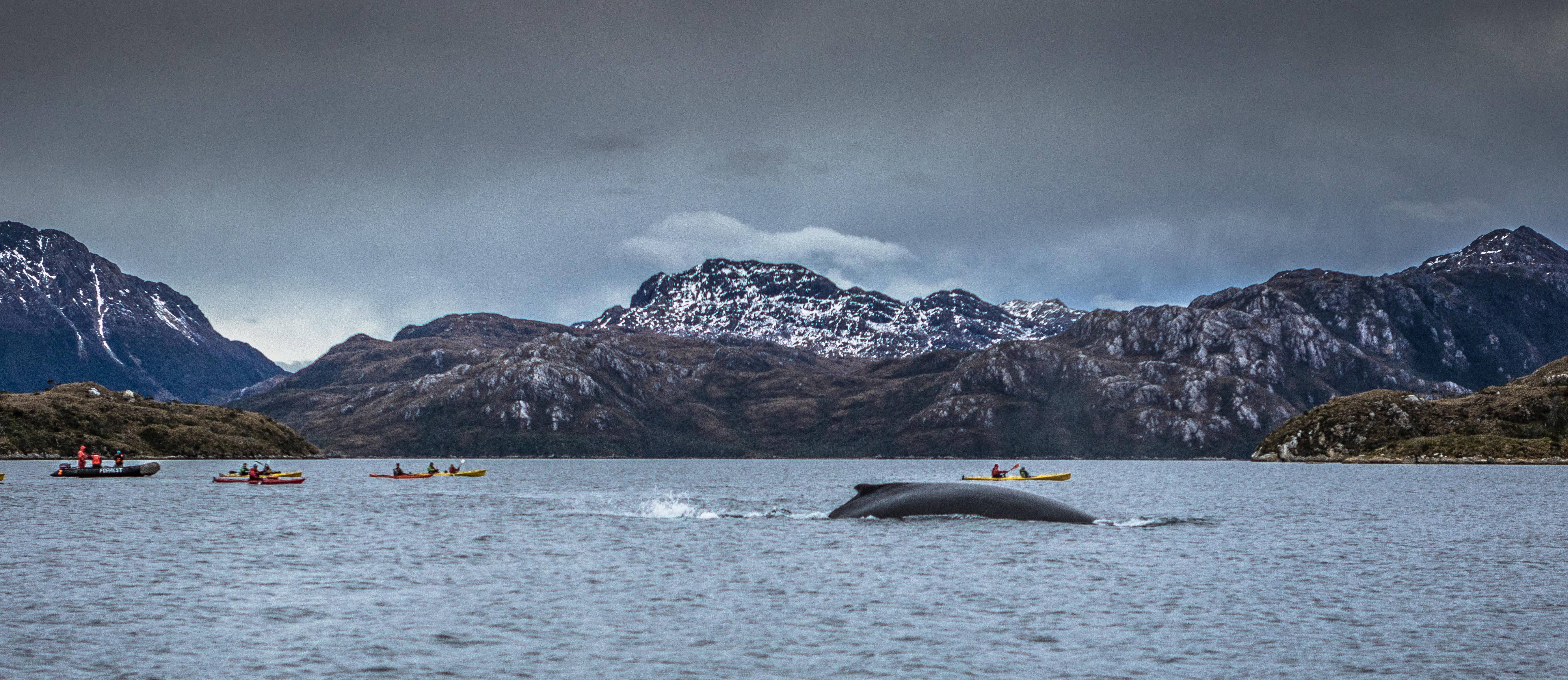 Kayak Agua Fresca: Agencia de Punta Arenas busca ser la pionera en la reactivación del turismo en Chile