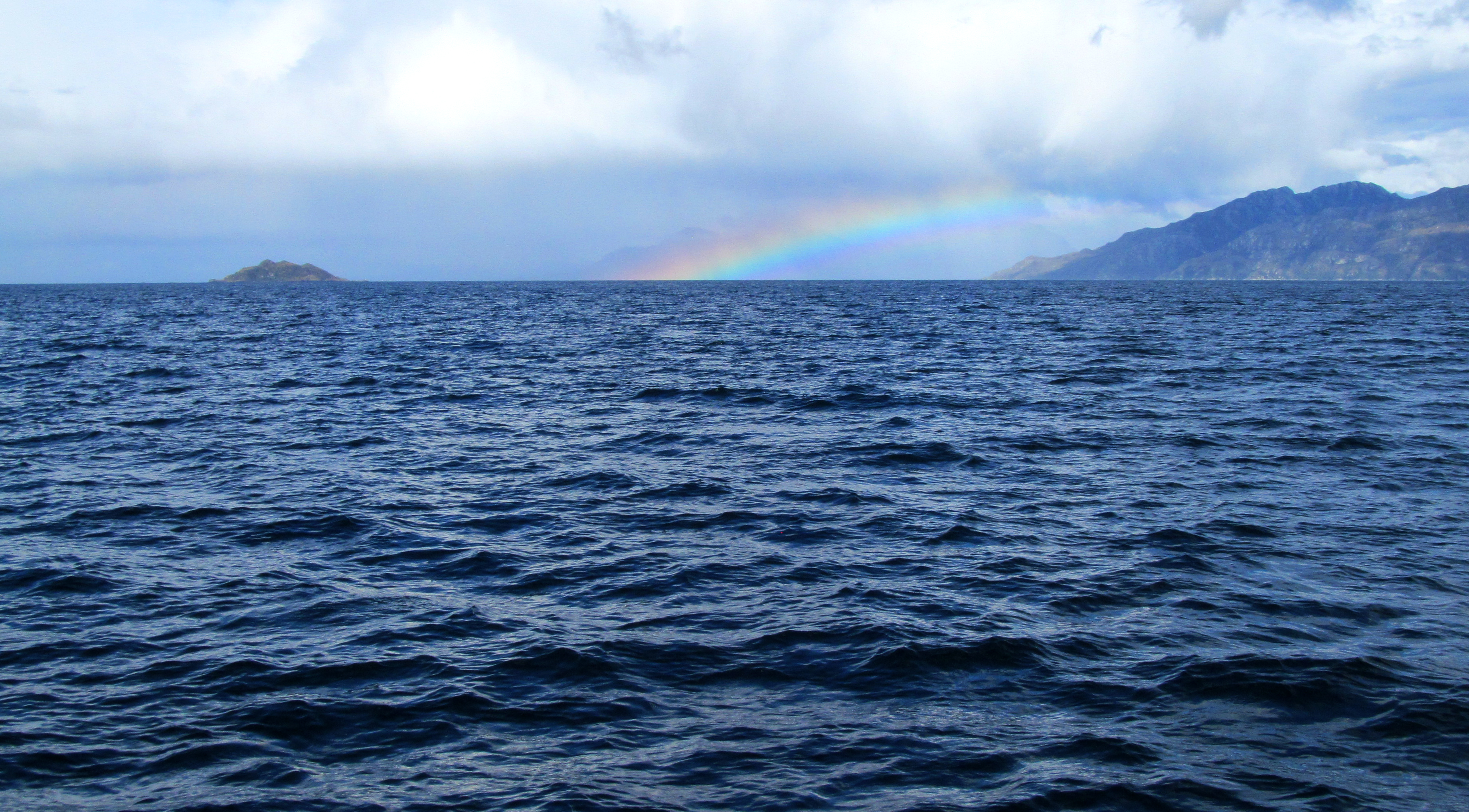 Estos son los artistas que navegarán en la Micro Residencia Radicante 2020