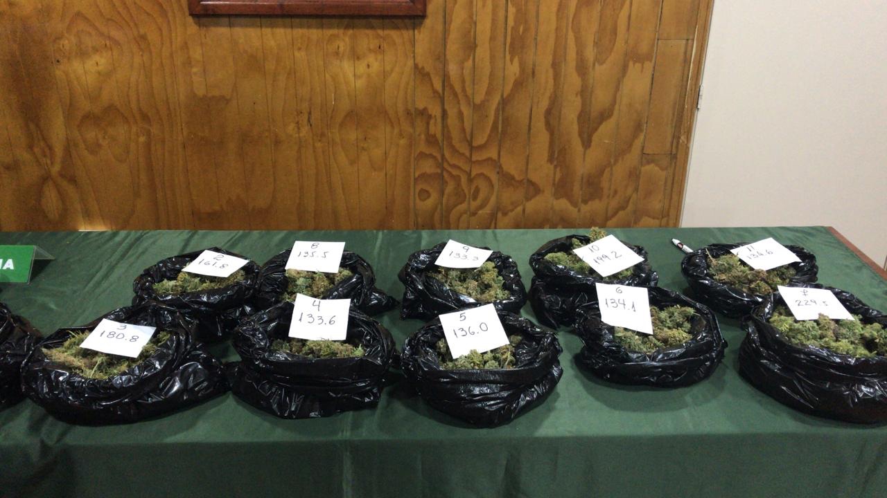 Carabineros desbarató Banda que se dedicaba a la venta de marihuana