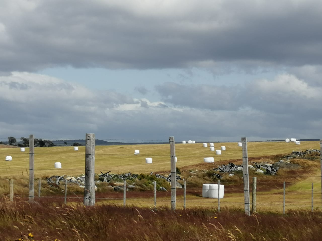 Con tercer concurso SIRSD-S 2020, SAG Magallanes busca recuperar suelos degradados y contribuir a la reactivación económica regional