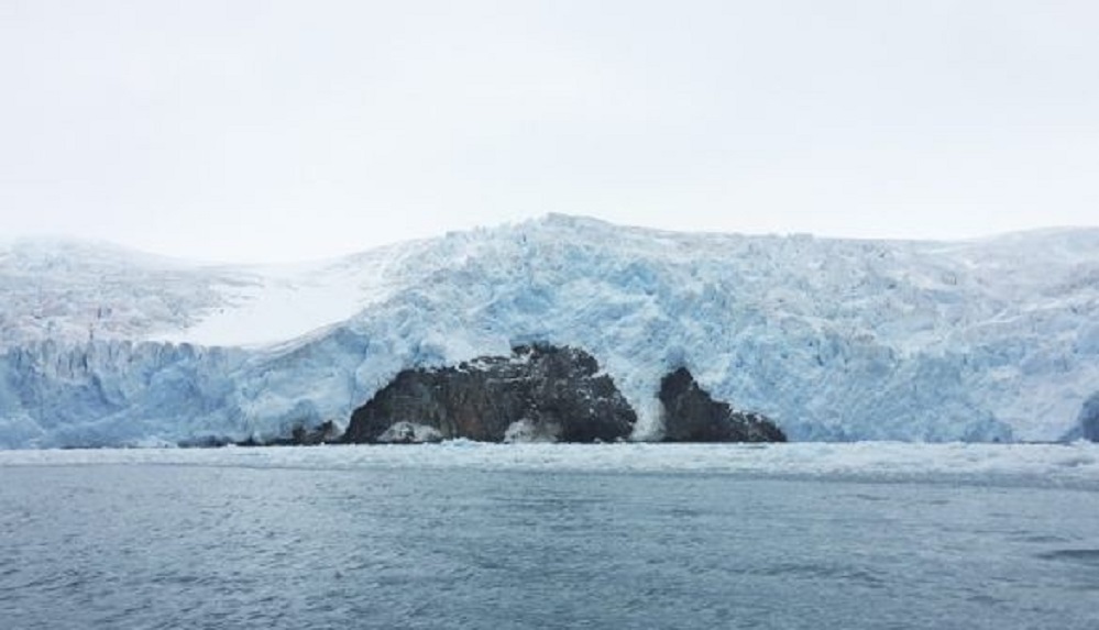 Derretimiento de glaciares podría cambiar y disminuir la biodiversidad marina antártica