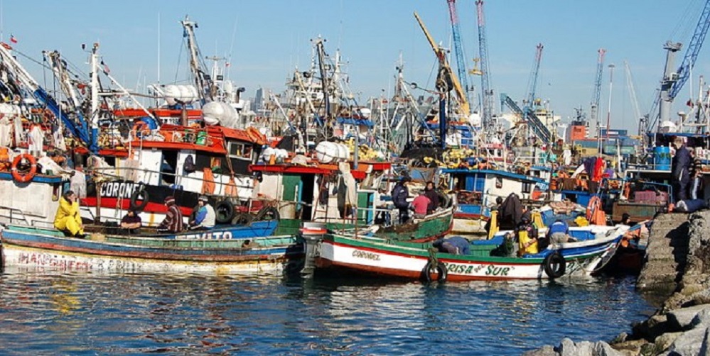 Carta de los Pescadores Artesanales de Coronel al Subsecretario de Pesca sobre futura nueva Ley de Pesca