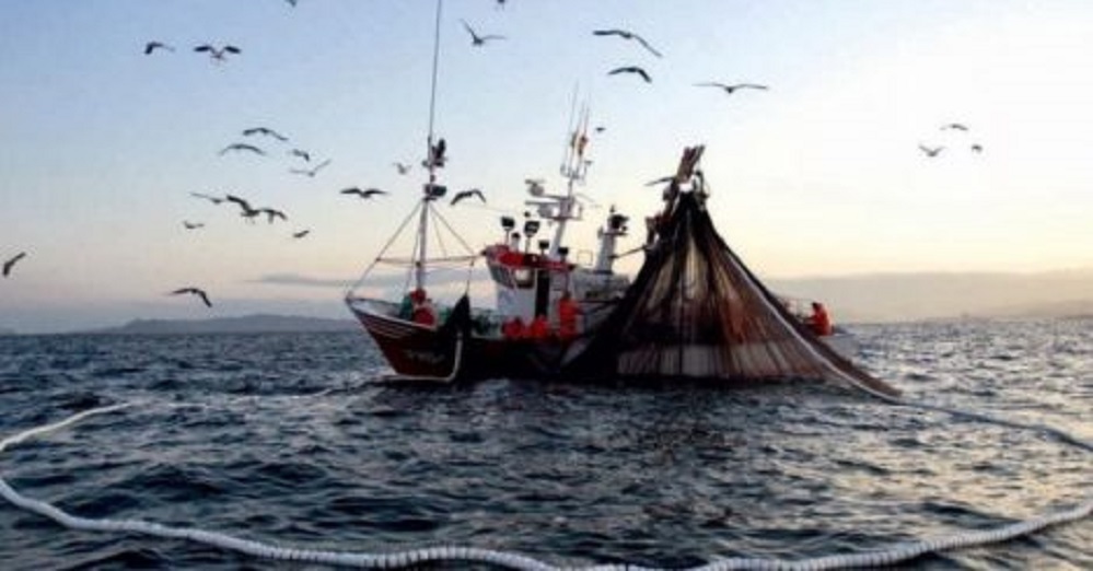 Pescadores artesanales celebran ingreso de proyecto de nueva Ley de Pesca al Congreso Nacional | Texto completo del proyecto de ley