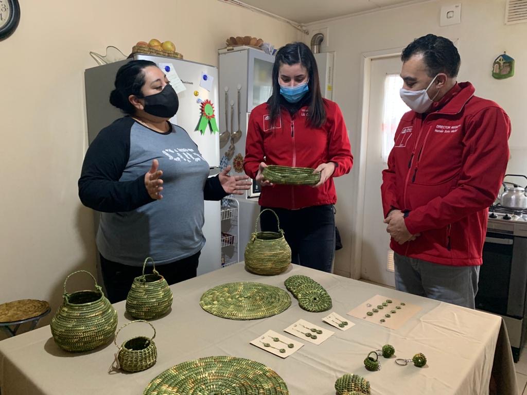 Balance positivo de la jornada de Cyber FOSIS a nivel nacional y regional