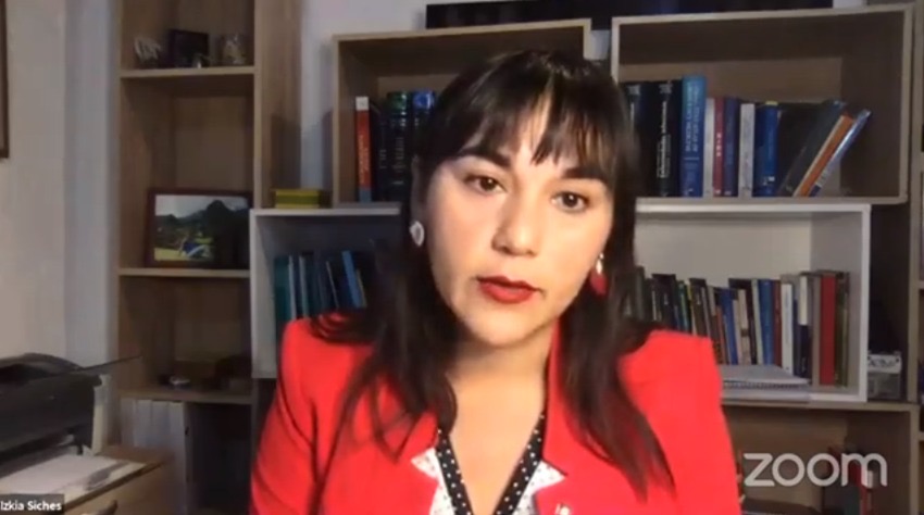 Presidenta de Colmed dra. Izkia Siches hace llamado al gobierno a entregar las máximas condiciones de seguridad para plebiscito en pandemia