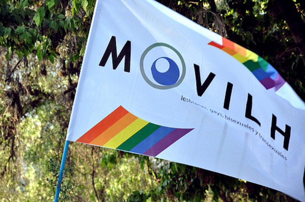 Primera encuesta sobre homoparentalidad fue aplicada por el Movimiento de Integración y Liberación Homosexual (Movilh) a madres y padres LGBTI