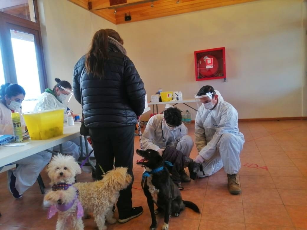 Destacamento Acorazado N 5 «Lanceros» participa en campaña de vacunación canina