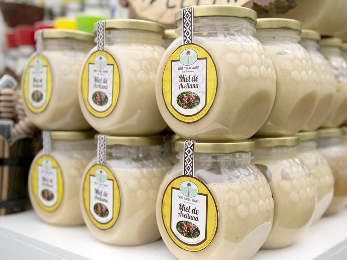 CONADI inicia postulaciones online para concurso que financiará a emprendedores y microempresarios indígenas de Magallanes