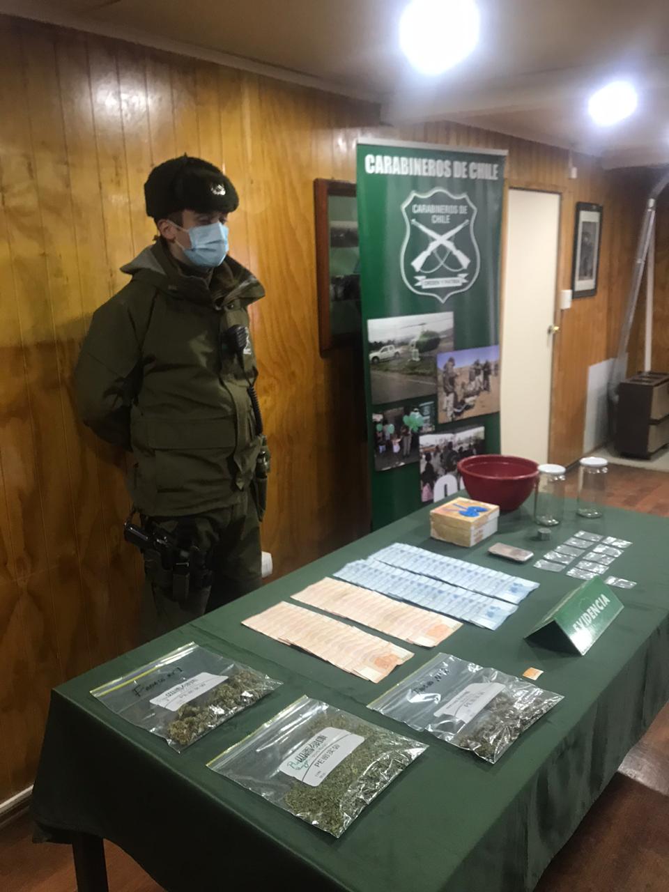 En un domicilio del sector norte de Punta Arenas detectan cultivo y tráfico de marihuana: un detenido por presunto microtráfico